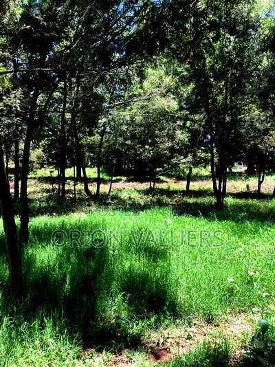 Prime Plots for Sale - Image 7