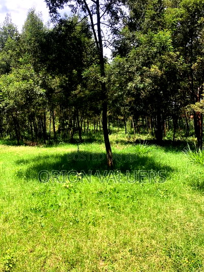 Prime Plots for Sale - Image 6