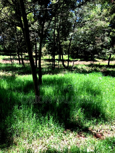 Prime Plots for Sale - Image 8