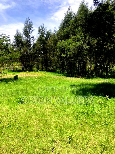 Prime Plots for Sale - Image 5