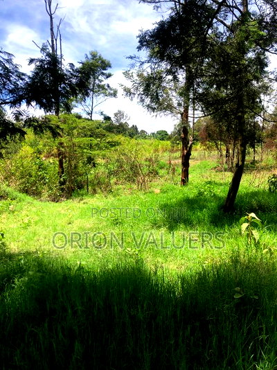 Prime Plots for Sale - Image 2