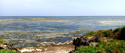 1-Acre Oceanfront Plot for KSh 30M