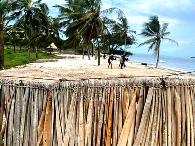 Stunning Beach Frontage 3.5 Acres Land - Image 1