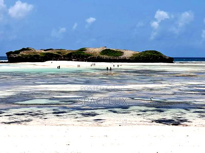 Stunning Beach Frontage 3.5 Acres Land - Image 2