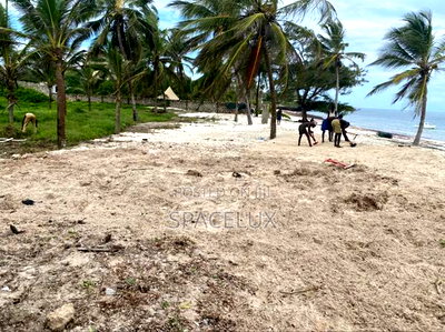 Stunning Beach Frontage 3.5 Acres Land - Image 8