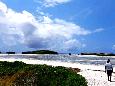 Stunning Beach Frontage 3.5 Acres Land - Image 3