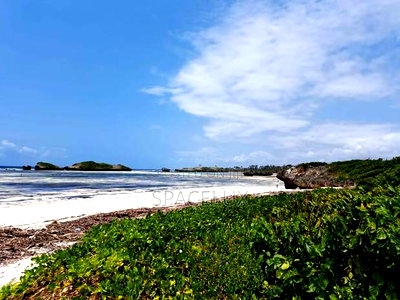 Stunning Beach Frontage 3.5 Acres Land - Image 6