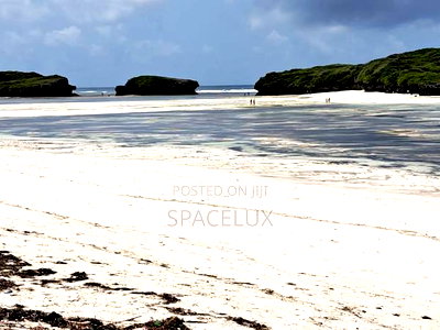 Stunning Beach Frontage 3.5 Acres Land - Image 4