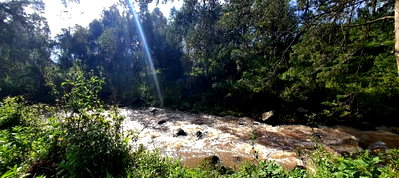 8-Acre Farm with River Frontage - Nyandarua
