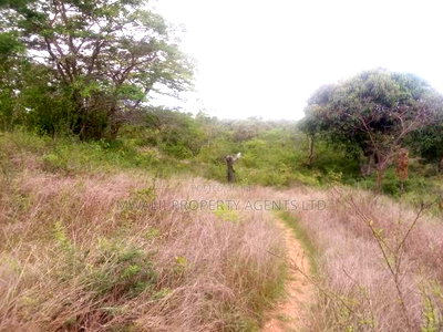 10 Acres, YONGELA,KITUI - Image 3