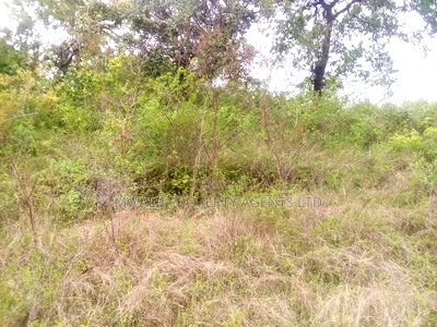 10 Acres, YONGELA,KITUI - Image 2