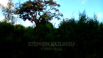 1/2 Acre Treasure Plot on Sale in Mwabungo Colarado - Image 5