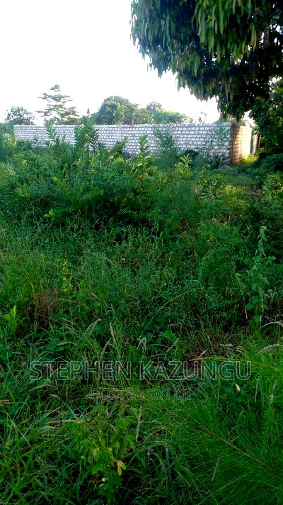 1/2 Acre Treasure Plot on Sale in Mwabungo Colarado - Image 6
