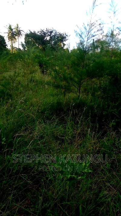 1/2 Acre Treasure Plot on Sale in Mwabungo Colarado - Image 7
