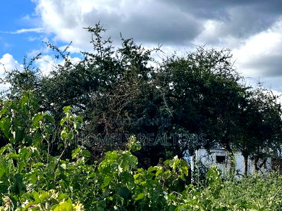 30 Acres of Land in Kumpa Area, Kajiado, Ideal for Many Uses - Image 4