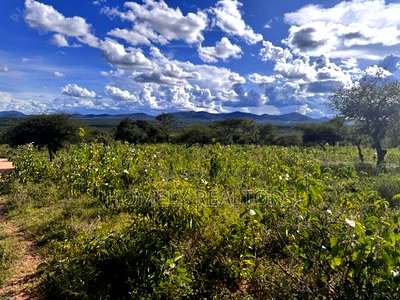 30 Acres of Land in Kumpa Area, Kajiado, Ideal for Many Uses - Image 5