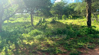 30 Acres of Land in Kumpa Area, Kajiado, Ideal for Many Uses - Image 3