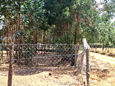 Hottest Plots in Nyandarua Currently - Image 3