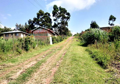 KSh 15.7M Half Acre Plot in Kibiko