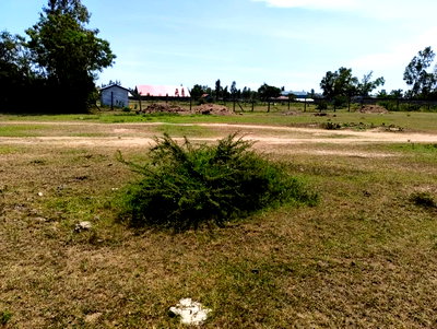 0.5 Acre Plot with Title Deed - Image 2