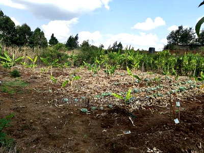 Quarter Acre Red Soil Plots in Kerarapon Drive, Ngong for Sale - Image 3
