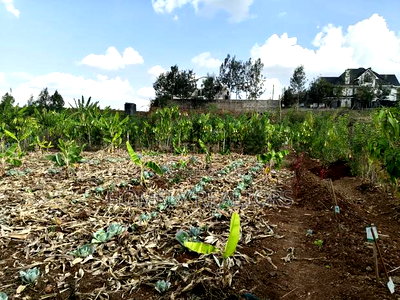 Quarter Acre Red Soil Plots in Kerarapon Drive, Ngong for Sale - Image 1