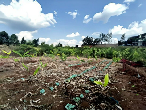 Quarter Acre Red Soil Plots in Kerarapon Drive, Ngong for Sale