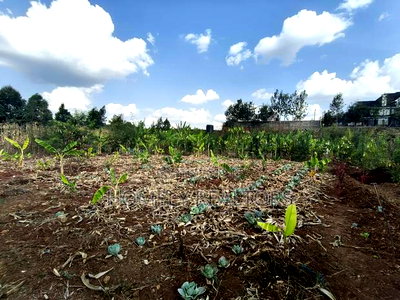 Quarter Acre Red Soil Plots in Kerarapon Drive, Ngong for Sale - Image 2