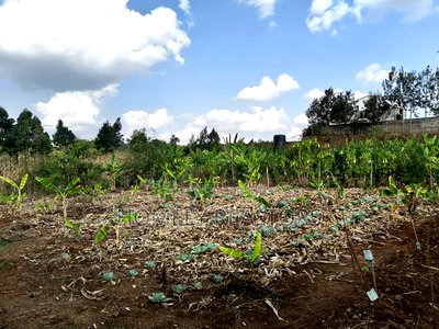 Quarter Acre Red Soil Plots in Kerarapon Drive, Ngong for Sale - Image 4