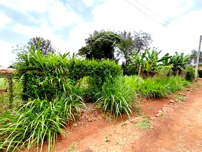 Kiambu Road 1\2 Acre Plot for Sale Opposite Kist - Image 6