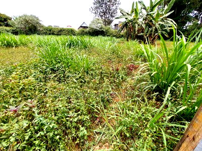 Kiambu Road 1\2 Acre Plot for Sale Opposite Kist - Image 7
