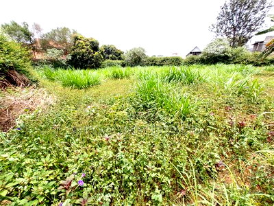Kiambu Road 1\2 Acre Plot for Sale Opposite Kist - Image 5