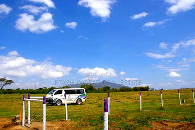 Great Views for a Good Price , Only - Image 2