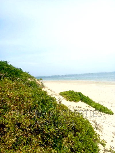 For Sale 4.5 Acres Beach Land Ngomen Malindi - Image 5