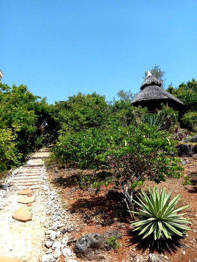 For Sale 4 Bedrooms Bungalow Beach Villa - Image 2