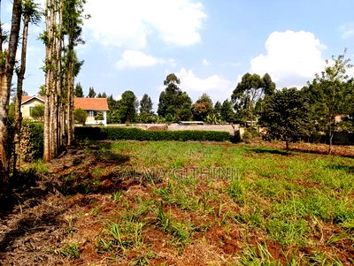 Prime Quarter Acre Plot for Sale in Thogoto, Kikuyu - Image 3