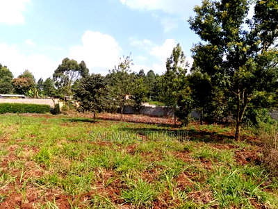 Prime Quarter Acre Plot for Sale in Thogoto, Kikuyu - Image 4