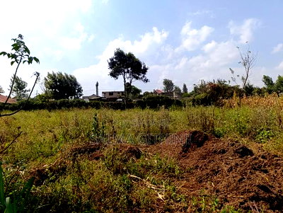 Prime Quarter Acre Plot for Sale in Thogoto, Kikuyu - Image 7