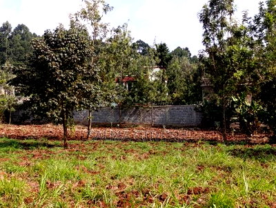 Prime Quarter Acre Plot for Sale in Thogoto, Kikuyu - Image 12