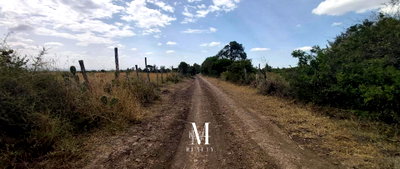10-Acre Plot at KSh 1.5M per Acre
