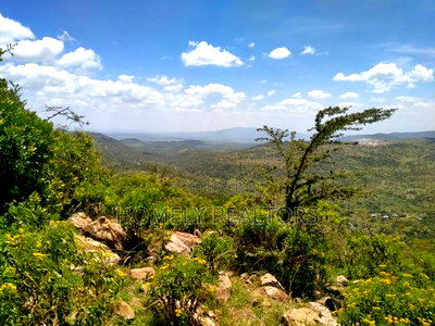 4 Acres in Kiserian Kona Baridi. Has a Nice View of Magadi - Image 5