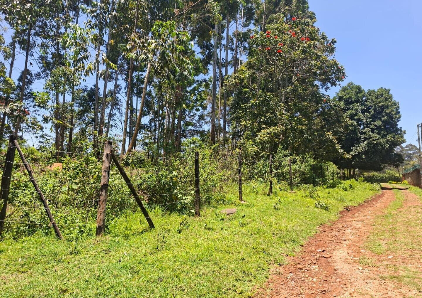 Half Acre in Kabete at KSh 35M