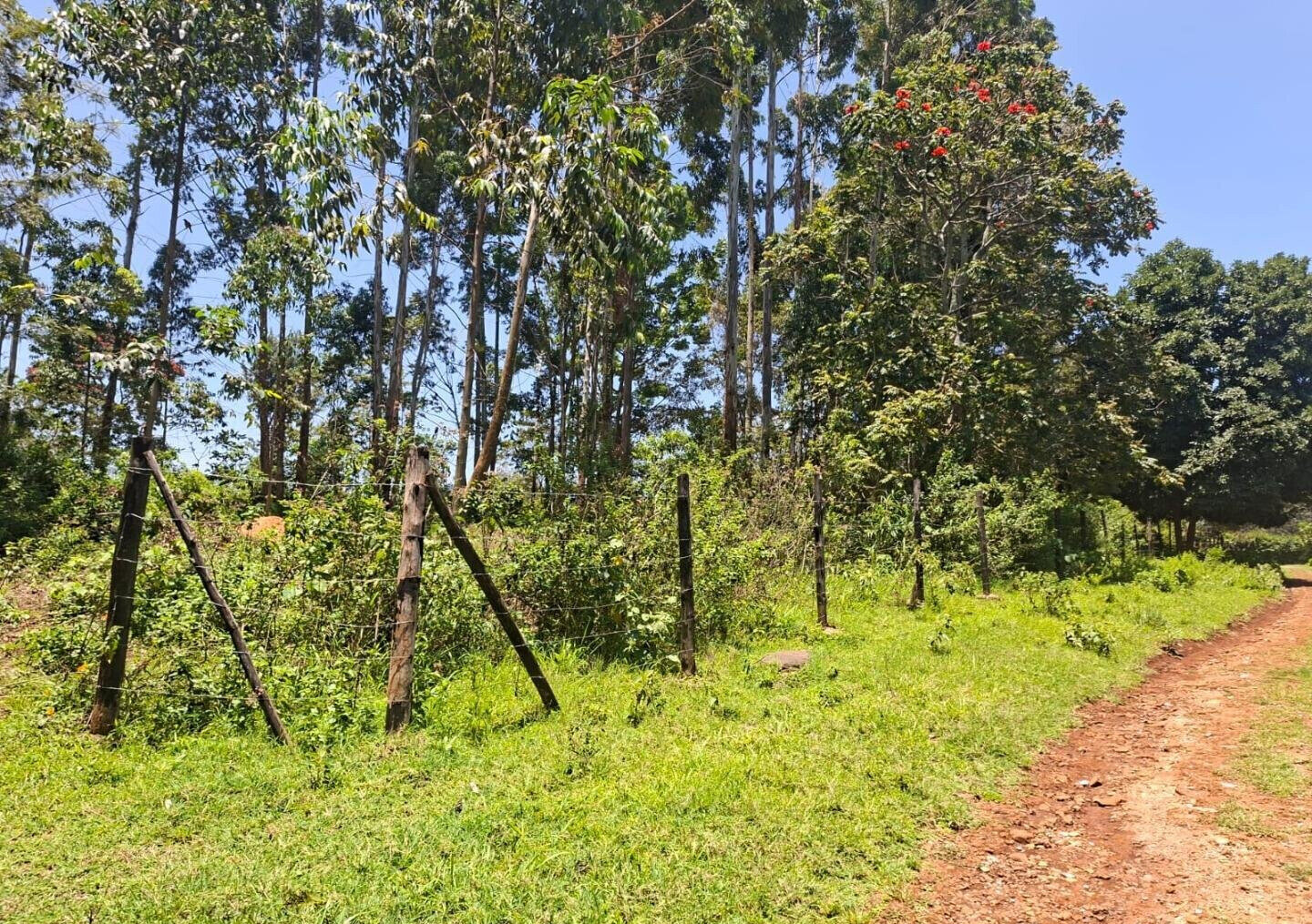 Half Acre in Kabete at KSh 35M