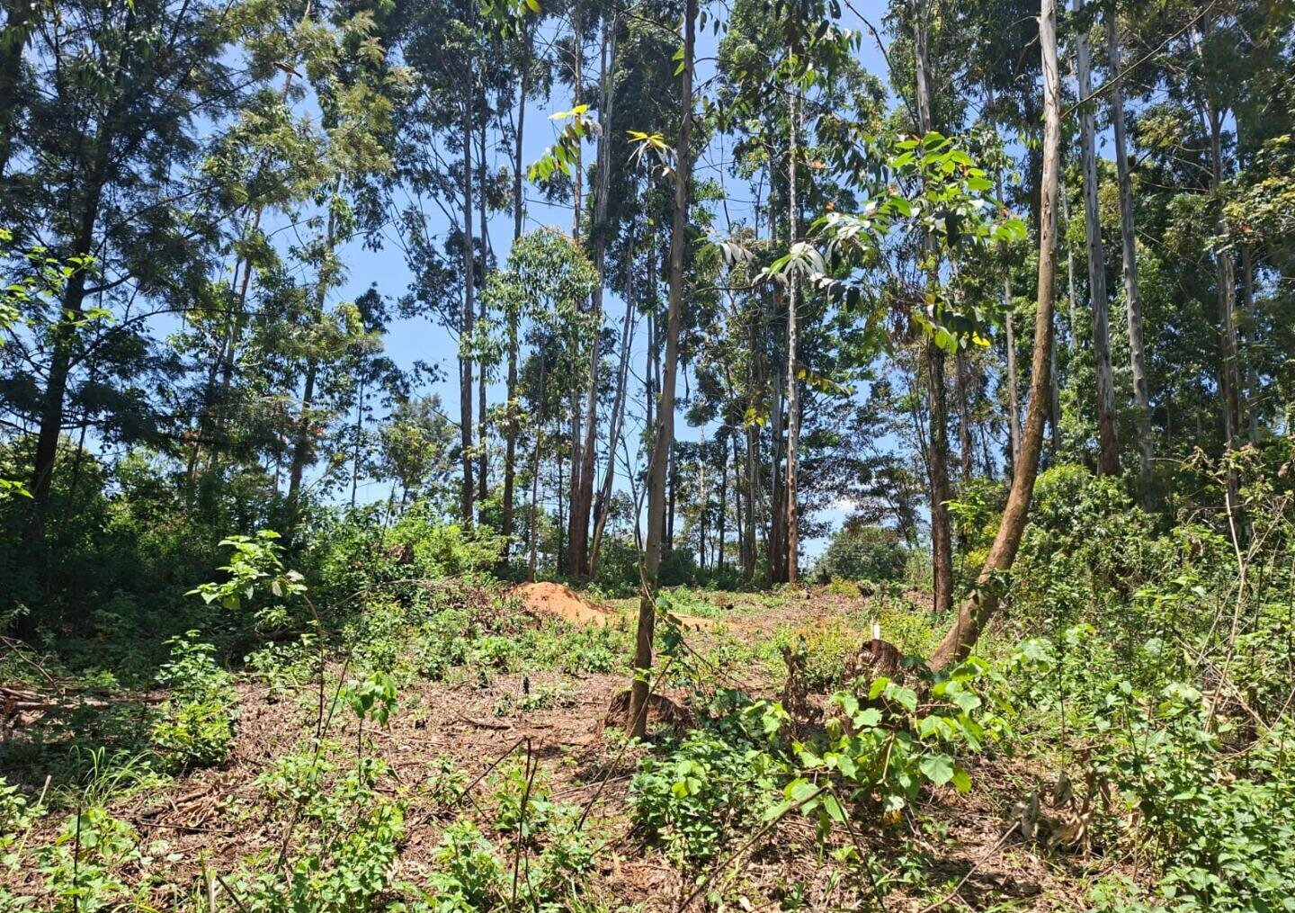 Half Acre in Kabete at KSh 35M