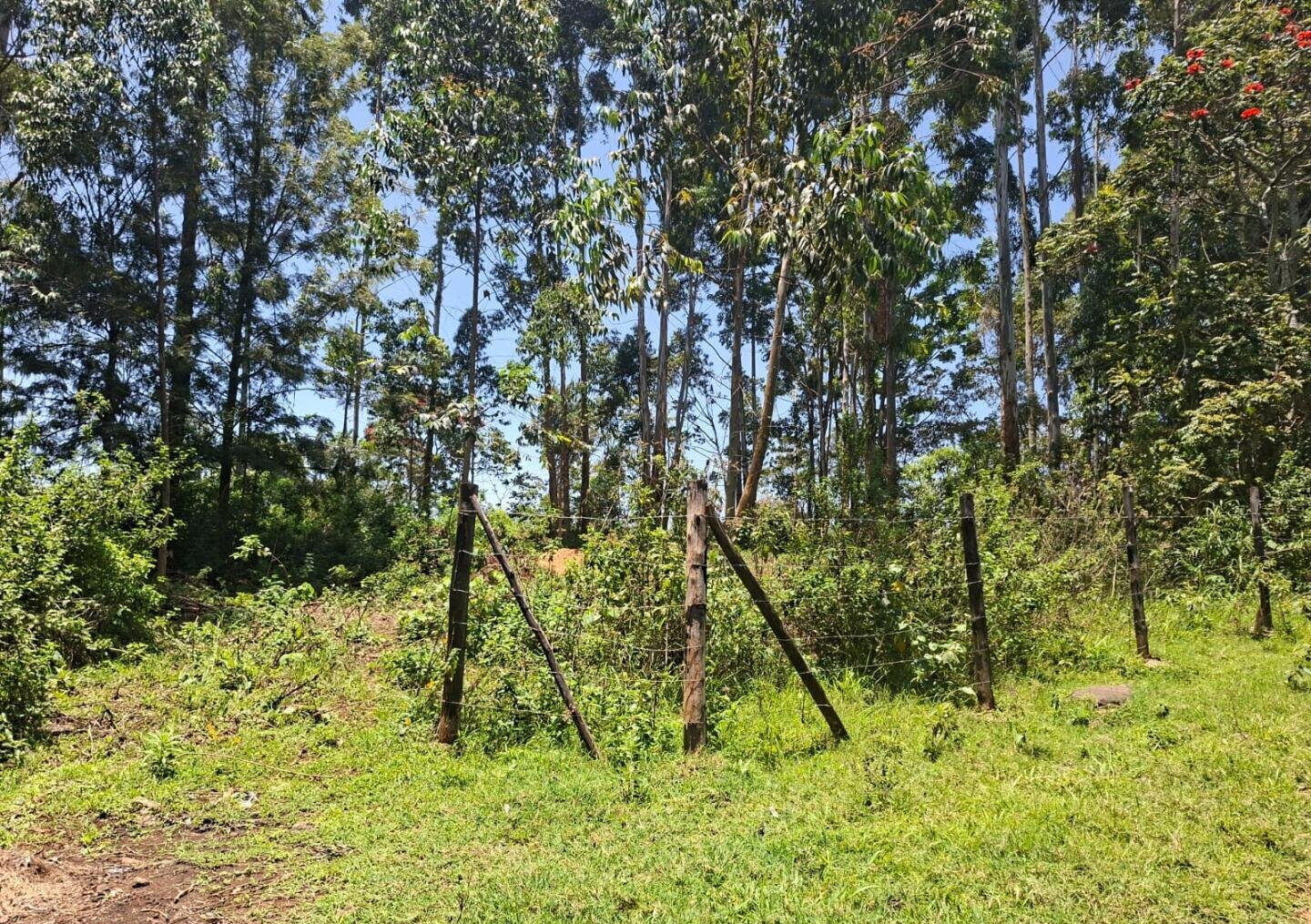 Half Acre in Kabete at KSh 35M