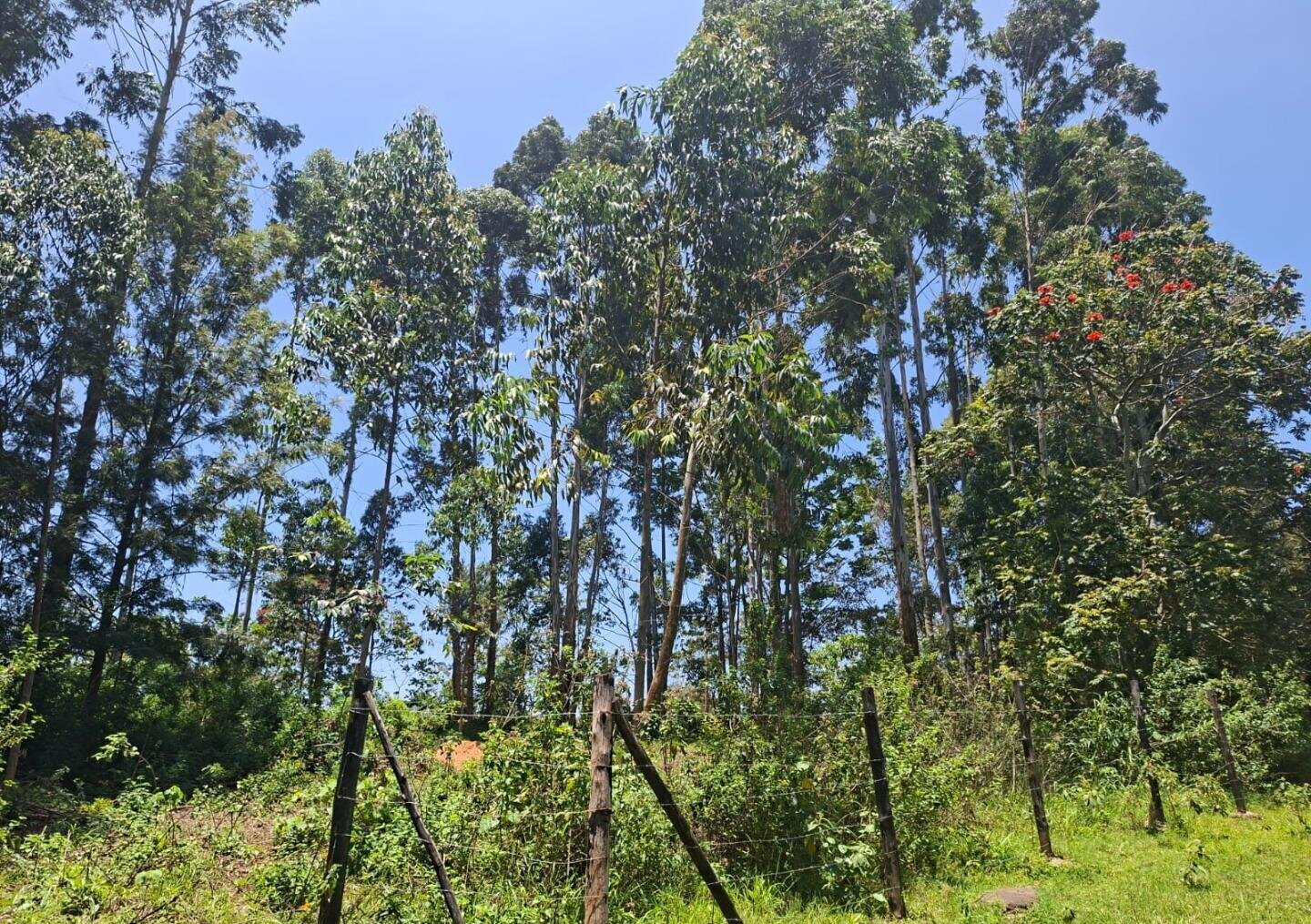 Half Acre in Kabete at KSh 35M