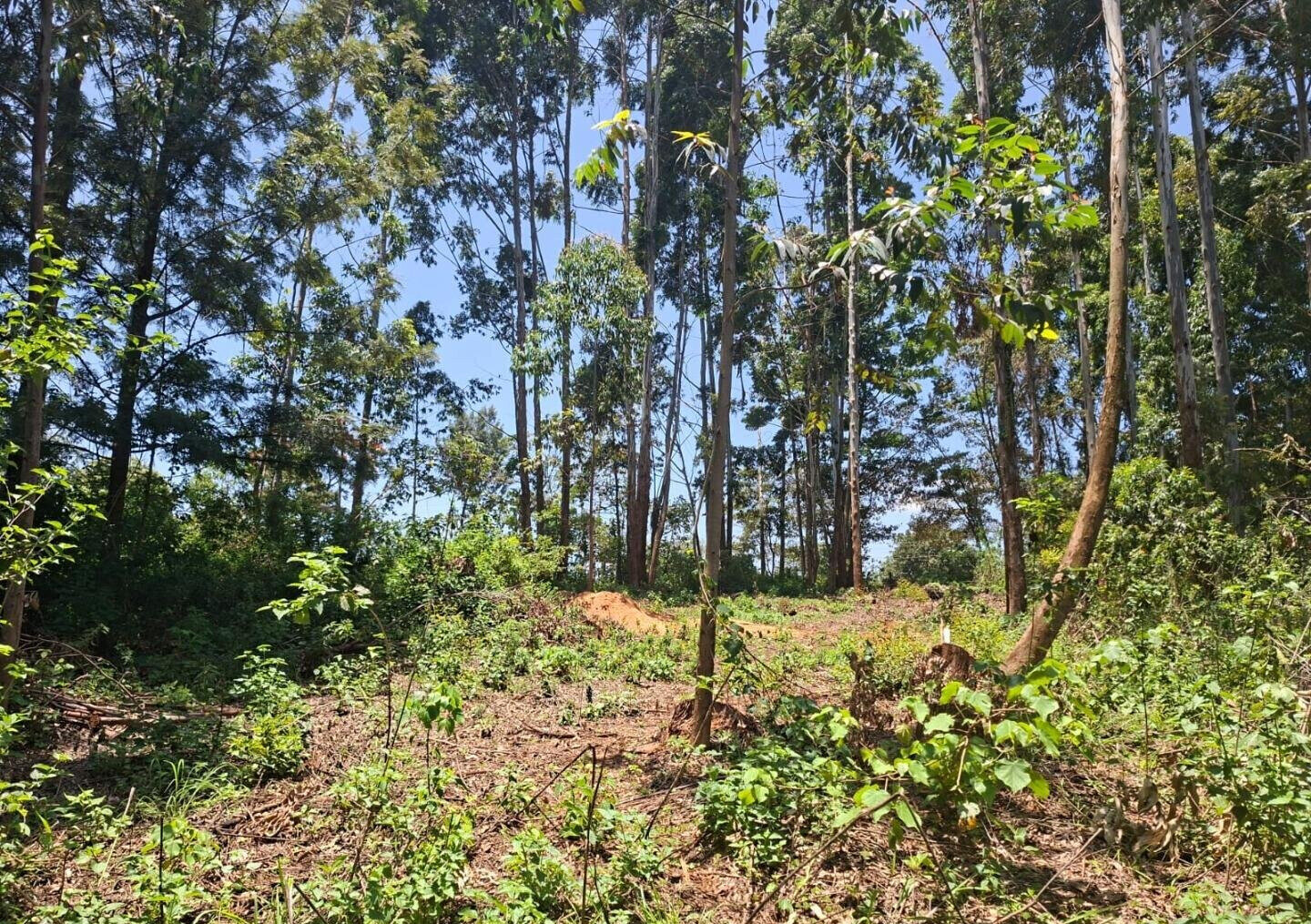 Half Acre in Kabete at KSh 35M