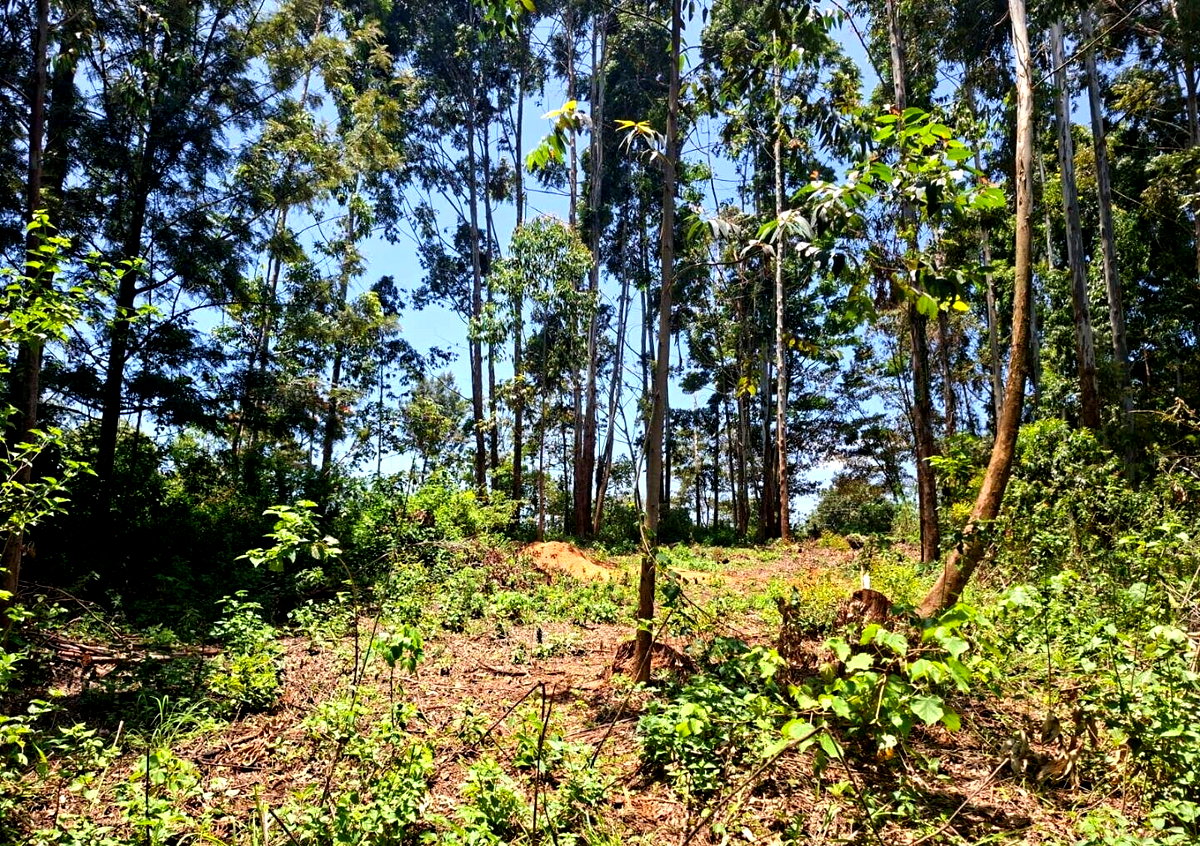 Half Acre in Kabete at KSh 35M