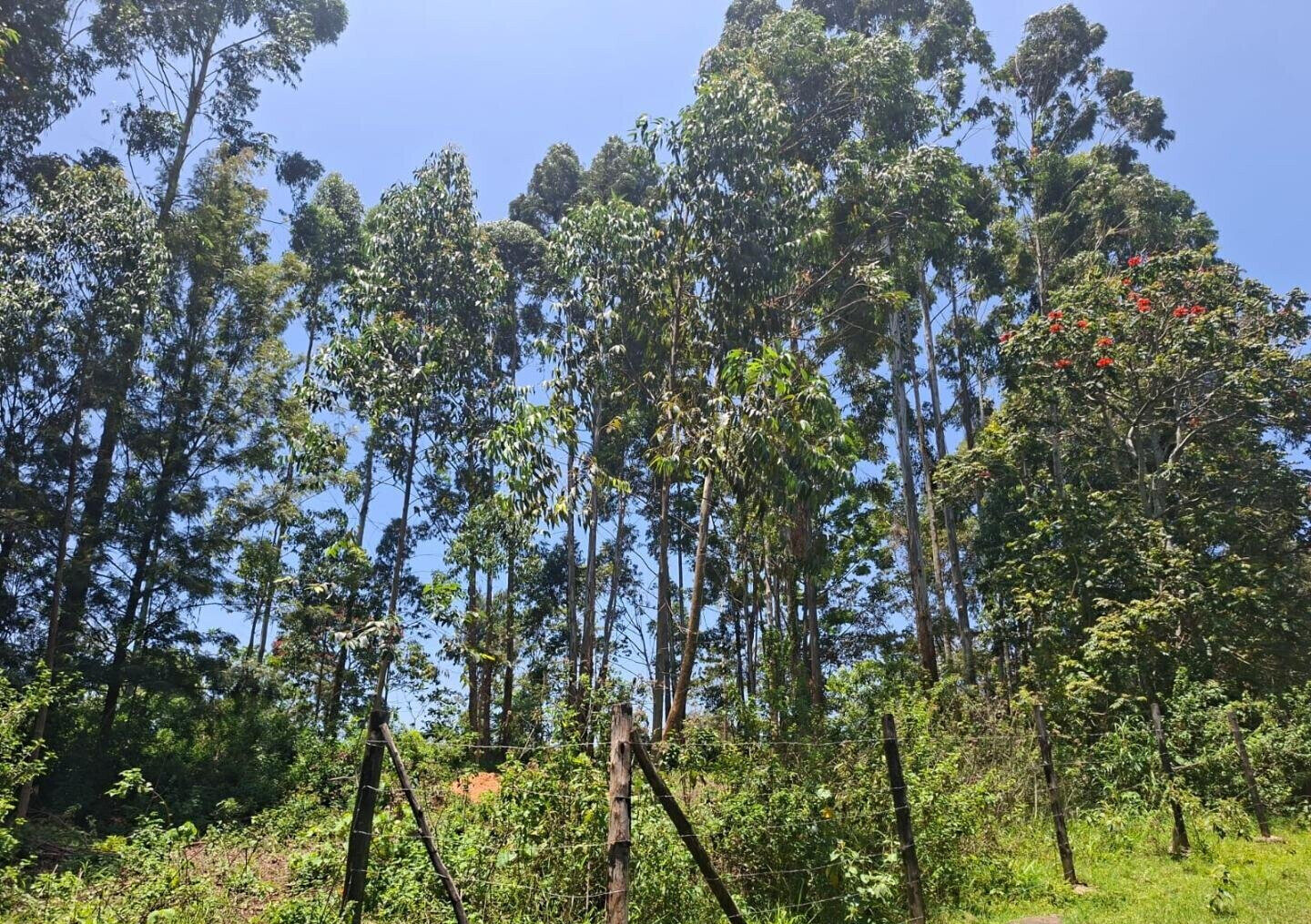 Half Acre in Kabete at KSh 35M