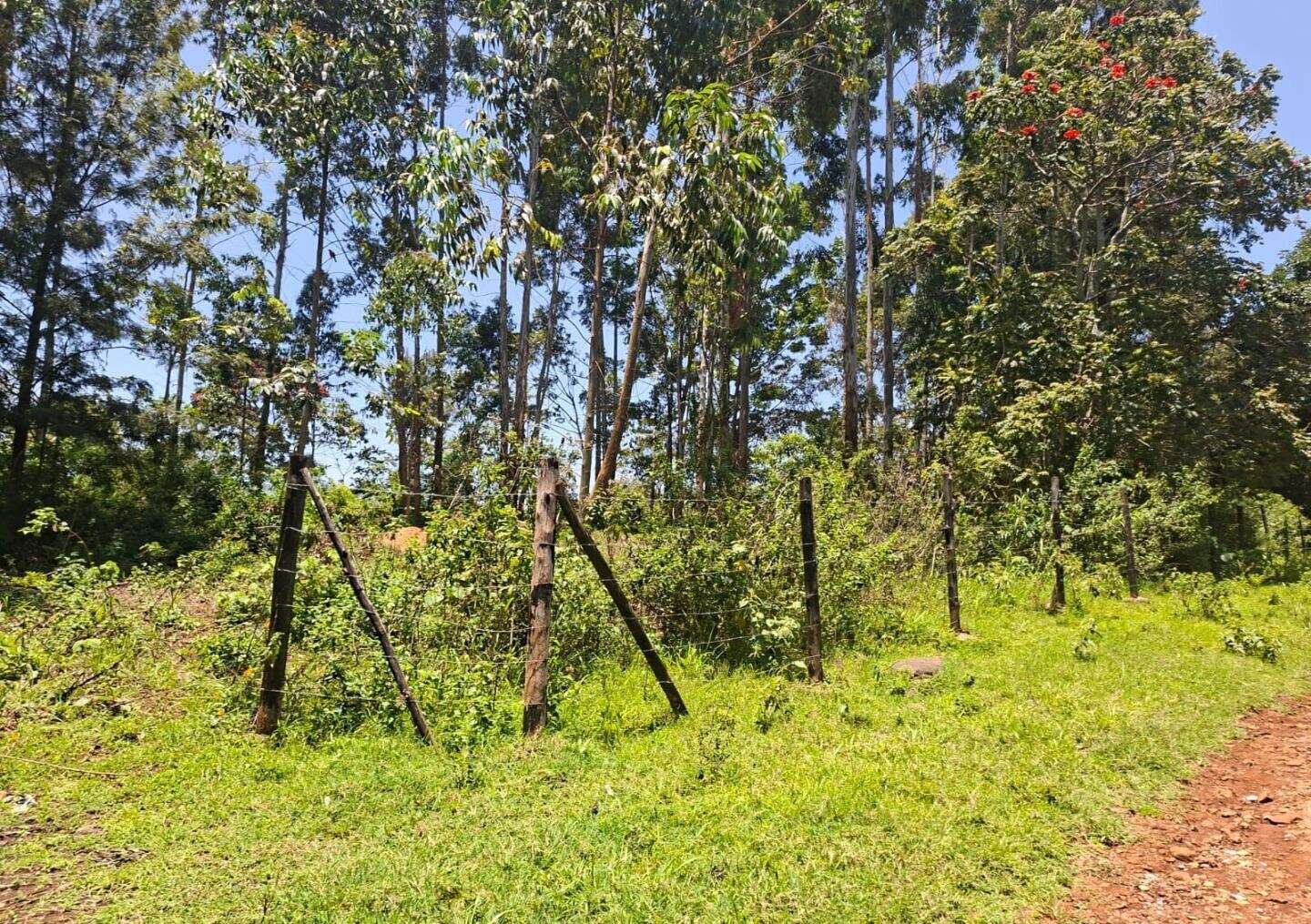 Half Acre in Kabete at KSh 35M